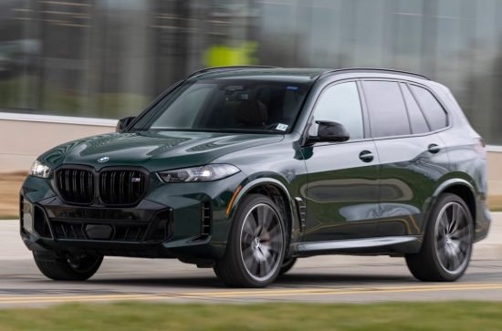 WhatsApp Image 2026-02-17 at 10.07.14 PM (2)